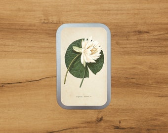 Aluminium Tin With Antique Botanical Print | Waterlily | Storage | Packaging  by Bramblewoods