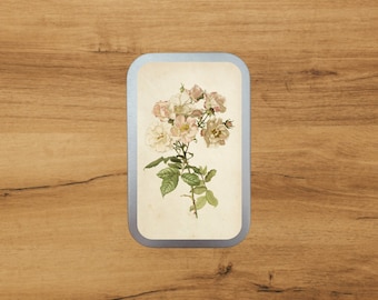 Aluminium Tin With Antique Botanical Print | Rose Blush  | Storage | Packaging  by Bramblewoods