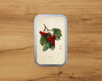 Aluminium Tin With Antique Botanical Print | Cherry | Storage | Packaging  by Bramblewoods