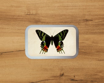 Aluminium Tin With Antique Botanical Print | Butterfly Ripheus | Storage | Packaging  by Bramblewoods