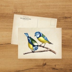 postale avec impression botanique antique | Mésange bleue | colimaçon | de Bramblewoods