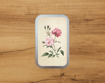 Aluminium Tin With Antique Botanical Print | Rose pink  | Storage | Packaging  by Bramblewoods