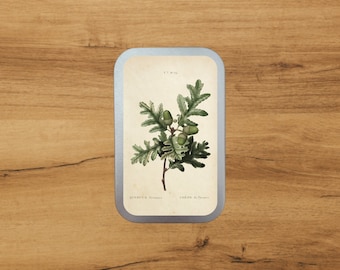 Aluminium Tin With Antique Botanical Print | Oak Branch Pyrenaica  | Storage | Packaging  by Bramblewoods