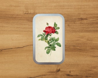 Aluminium Tin With Antique Botanical Print | Red rose | Storage | Packaging  by Bramblewoods