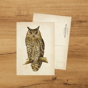 postale avec impression botanique antique | Chouette | colimaçon | de Bramblewoods