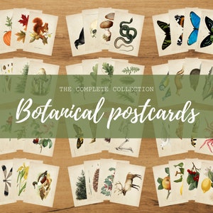La collezione completa di cartoline botaniche di Bramblewoods