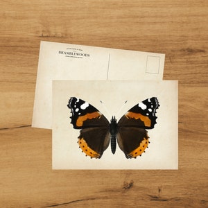 postale avec impression botanique antique | Papillon paon | colimaçon | de Bramblewoods