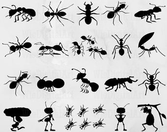 Ant PNG Insect PNG Bug PNG Ant Cut Files Insect Cut - Etsy Israel