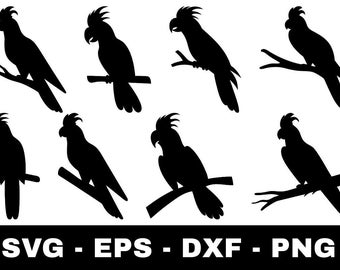 Cockatoo svg Bundle | 8 Tropical Bird Silhouette Cut Files for Cricut Silhouette | Cockatoo on Branch Clipart svg png eps dxf
