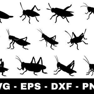 Grasshopper svg Bundle | 13 Insect Grasshopper Silhouette Cut Files for Cricut Silhouette | Nature Bug Clipart svg png eps dxf
