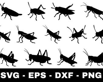 Grasshopper svg Bundle | 13 Insect Grasshopper Silhouette Cut Files for Cricut Silhouette | Nature Bug Clipart svg png eps dxf
