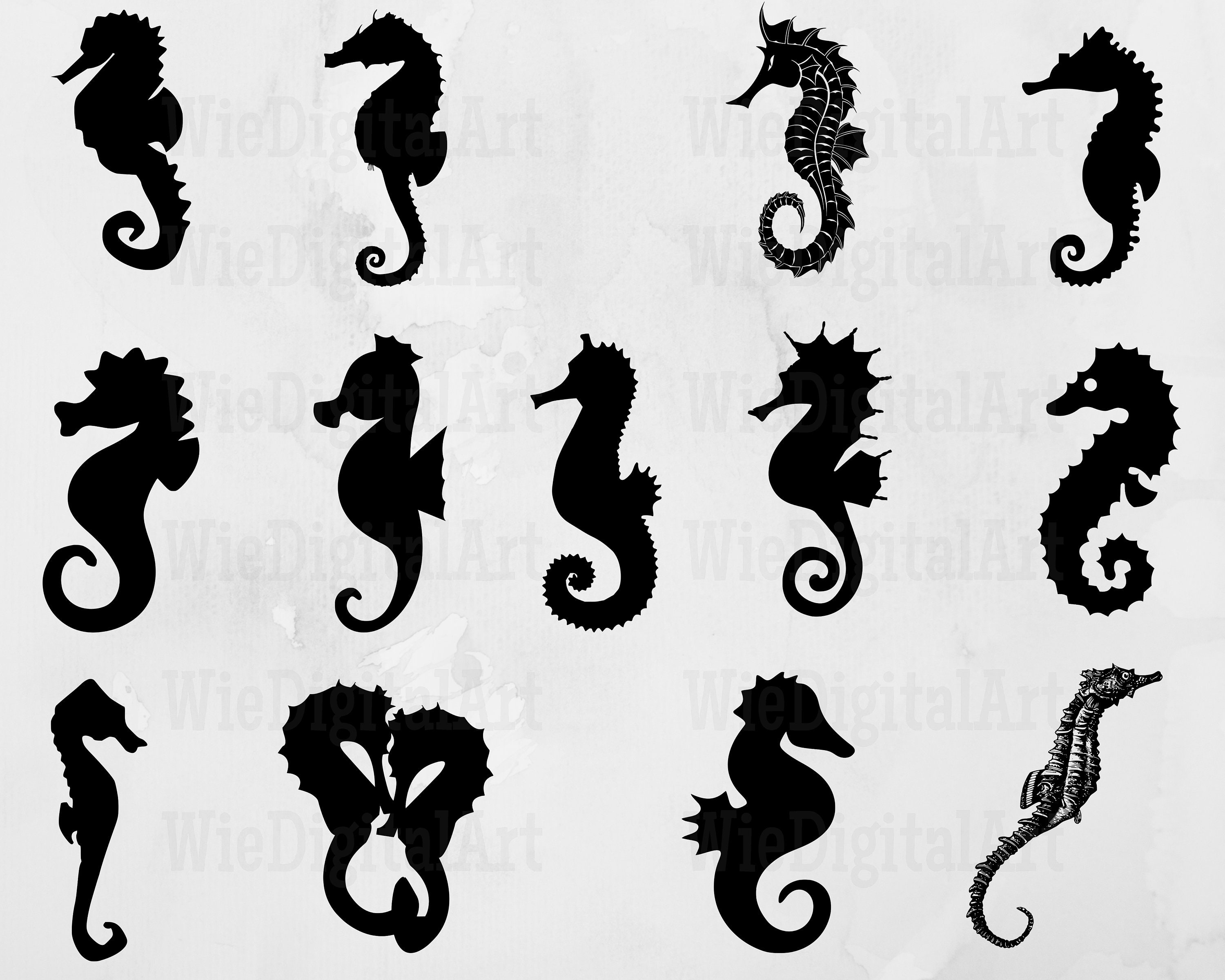 Seahorse Svg Seahorse Silhouette Seahorse Svg Bundle - Etsy Ireland