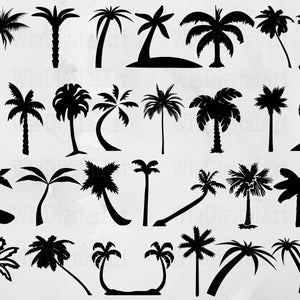 Palm Trees Svg Palm Trees Silhouette Palm Trees Svg Bundle Palm Trees ...