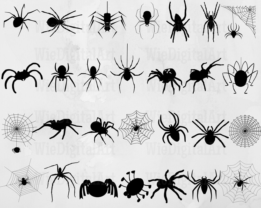 Spider Svg Spider Silhouette Spider Svg Bundle Spider Svg Design Spider
