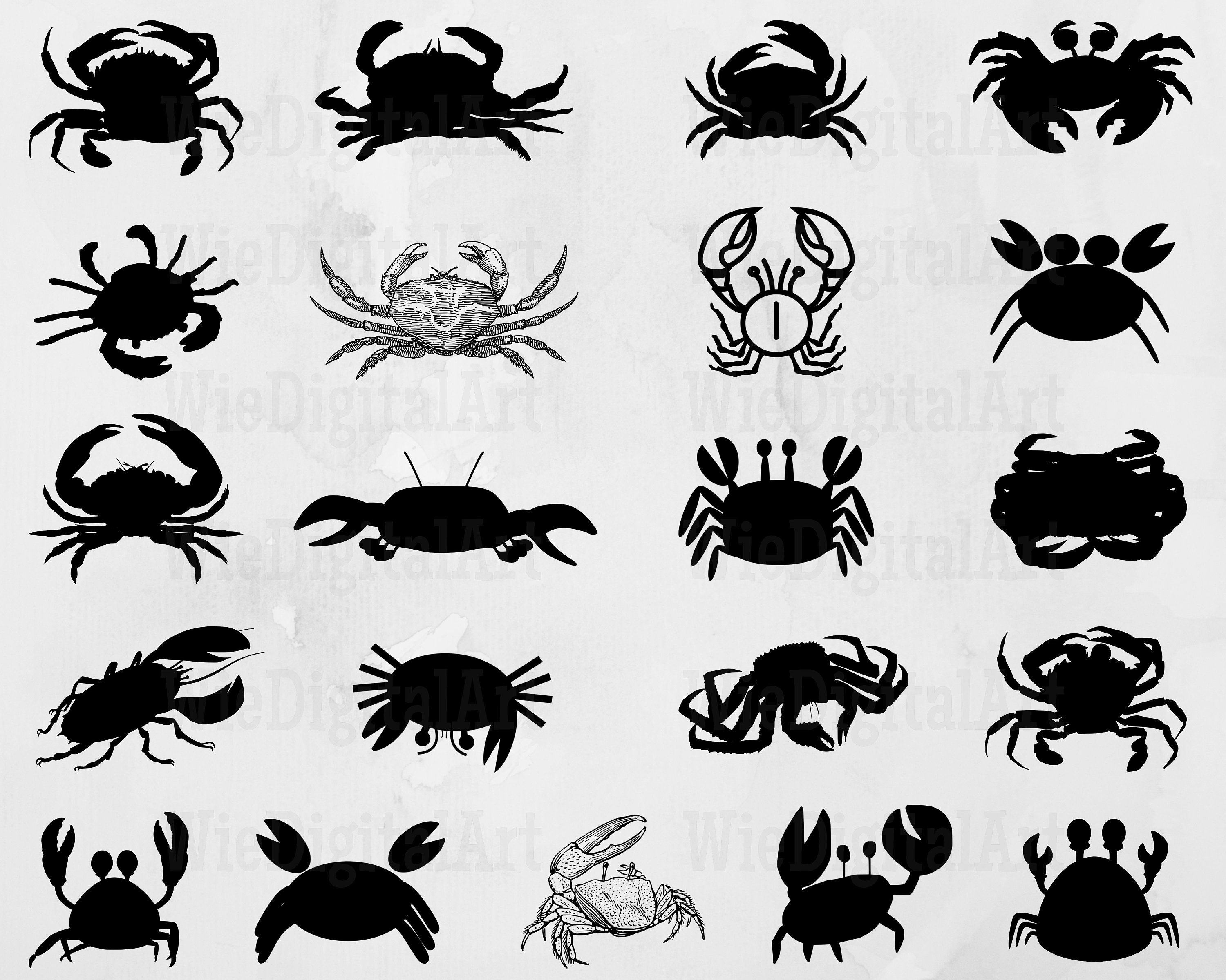 Crab Vector Bundles Crab Silhouette Crab Svg Bundle Crab Cartoon Vector