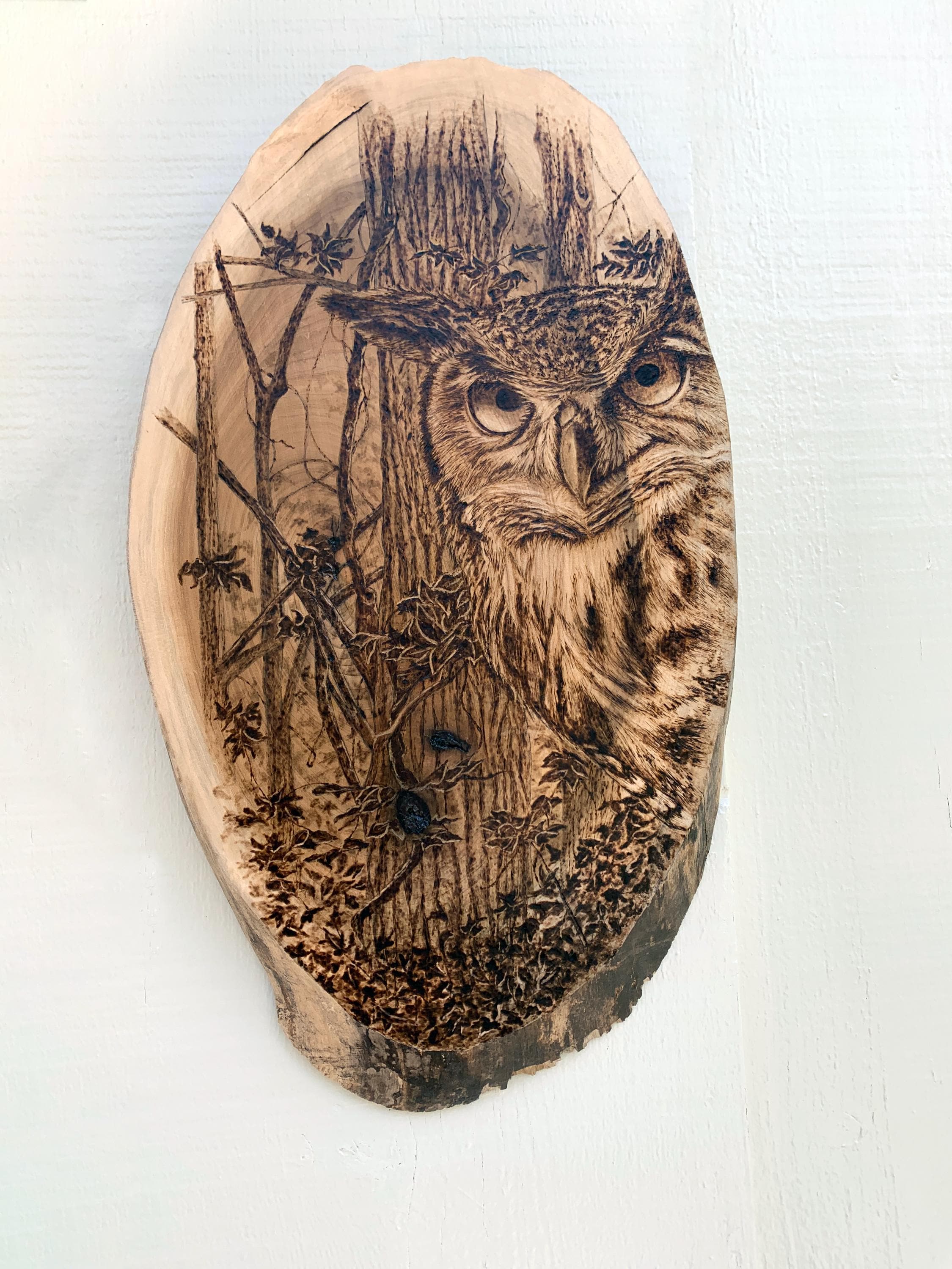 Wood burned Horned Owl in the Forest