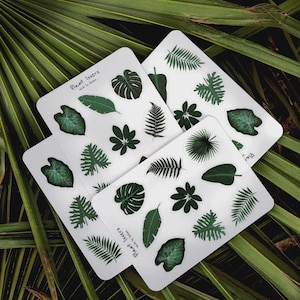 Planche de stickers Plant Lovers – autocollants plantes, déco nature, botanique, papeterie créative