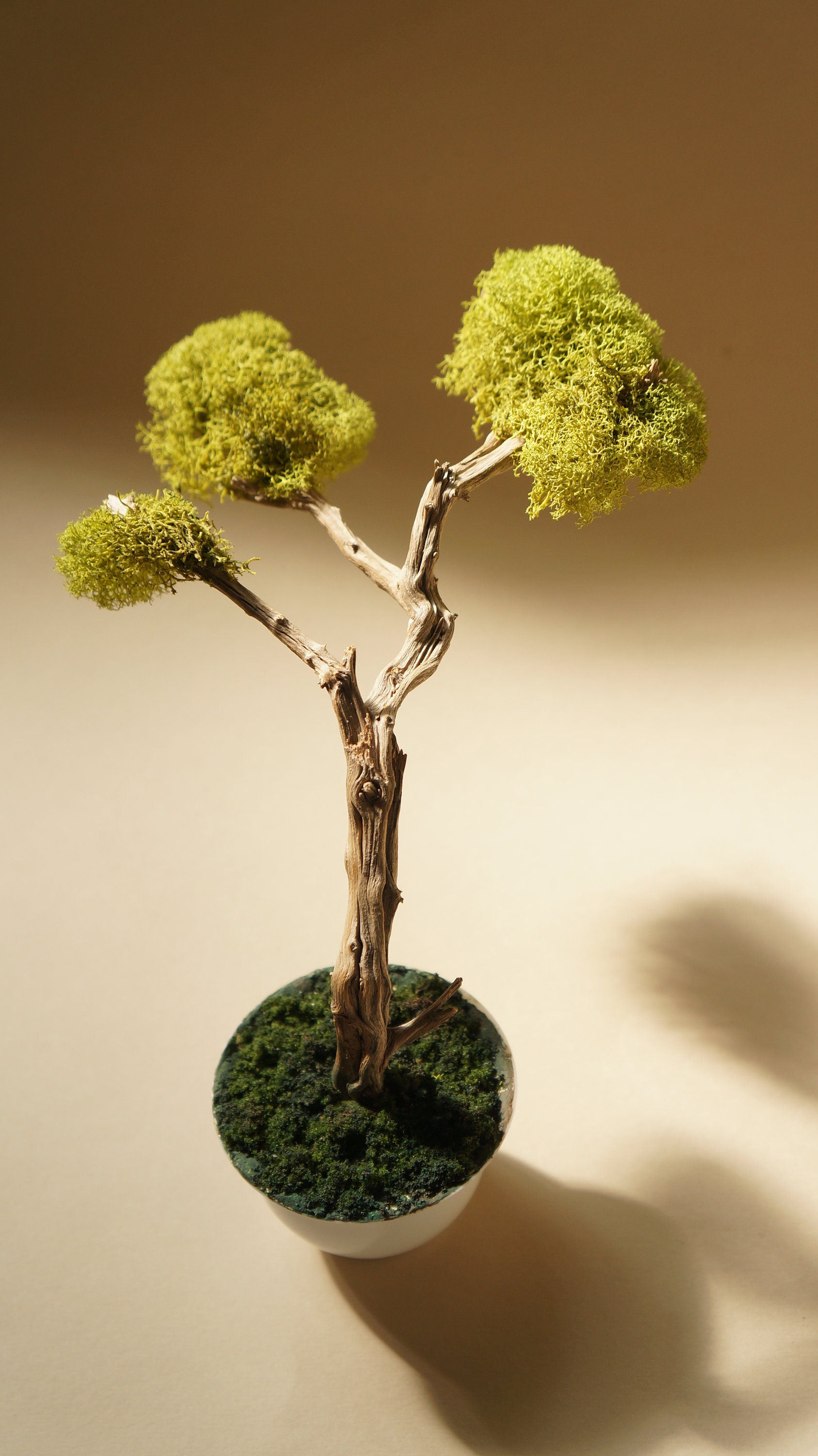 Artificial Bonsai Tree with natural wood trunk driftwood Etsy