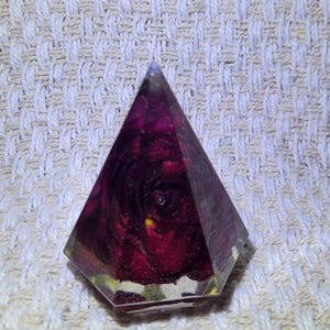 Preserved Flower Ring Holder image 5