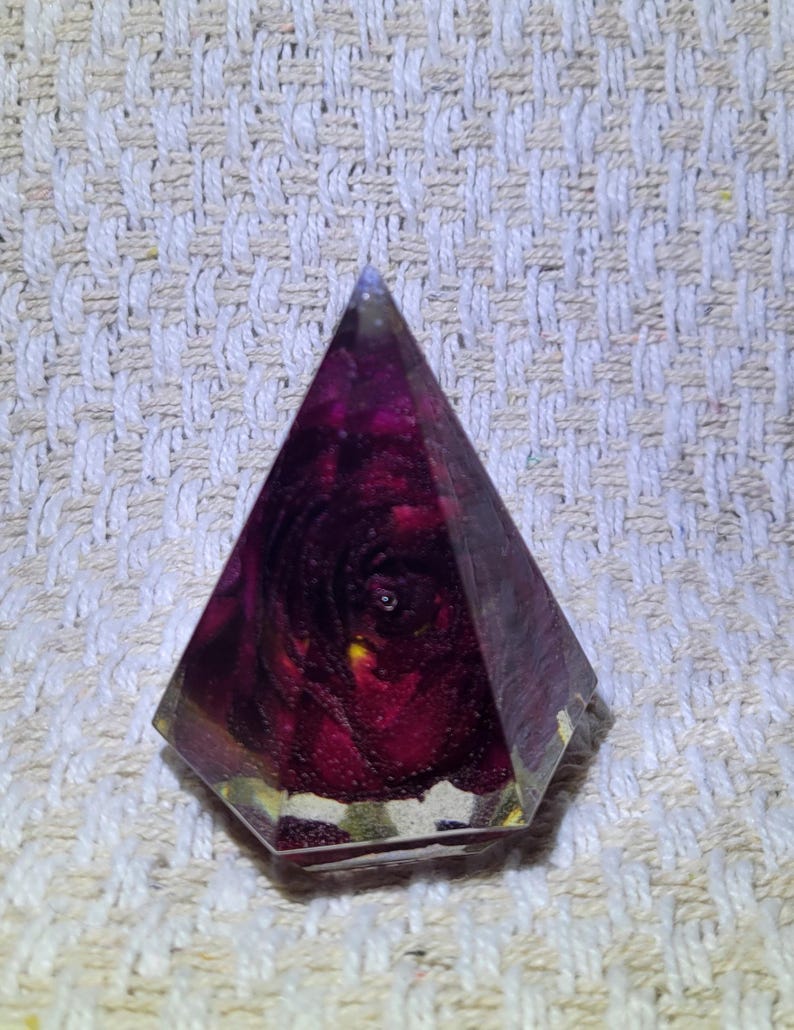 Preserved Flower Ring Holder image 5