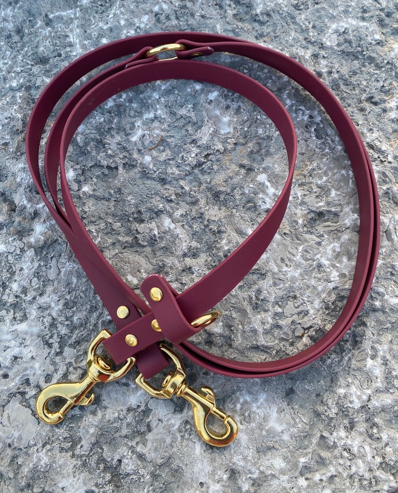 Biothane Dog Leash Handsfree Convertible Leash with O Ring Etsy