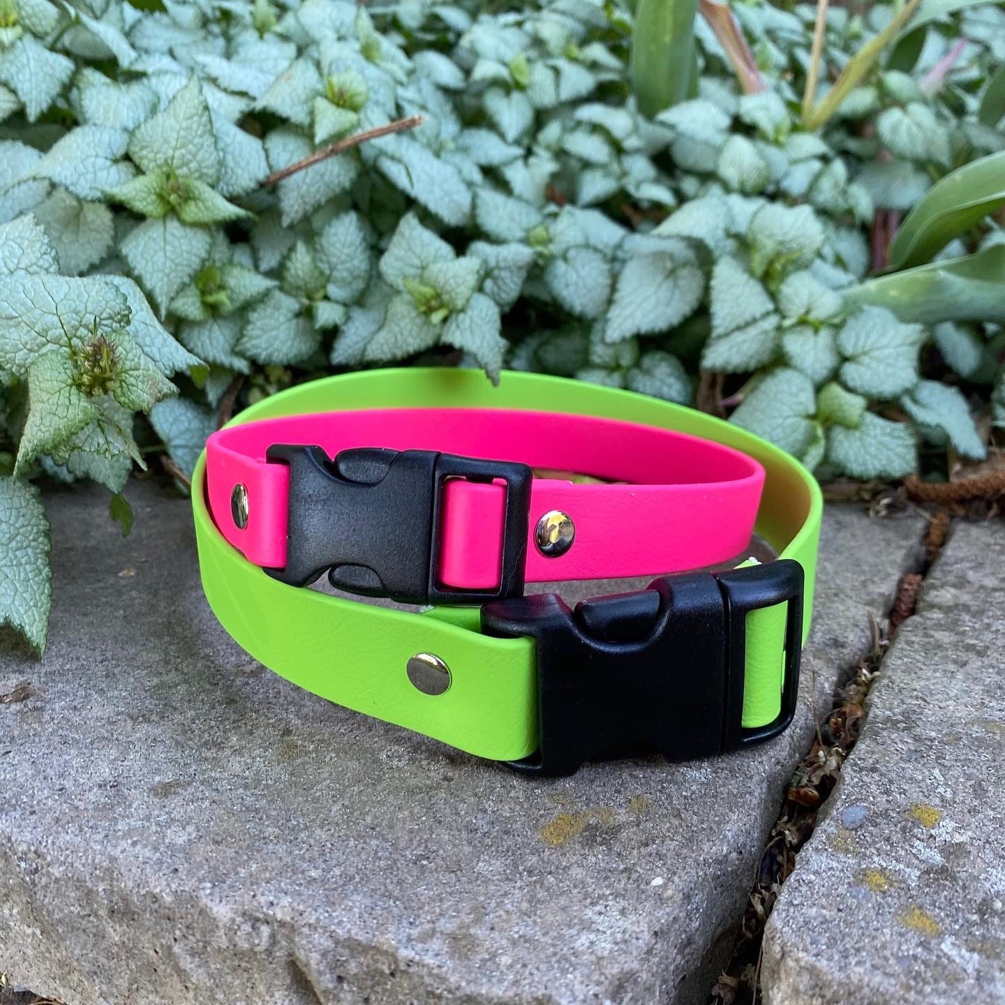 Waterproof Dog Collar Quick Release House Collar 3/4 Inch Etsy