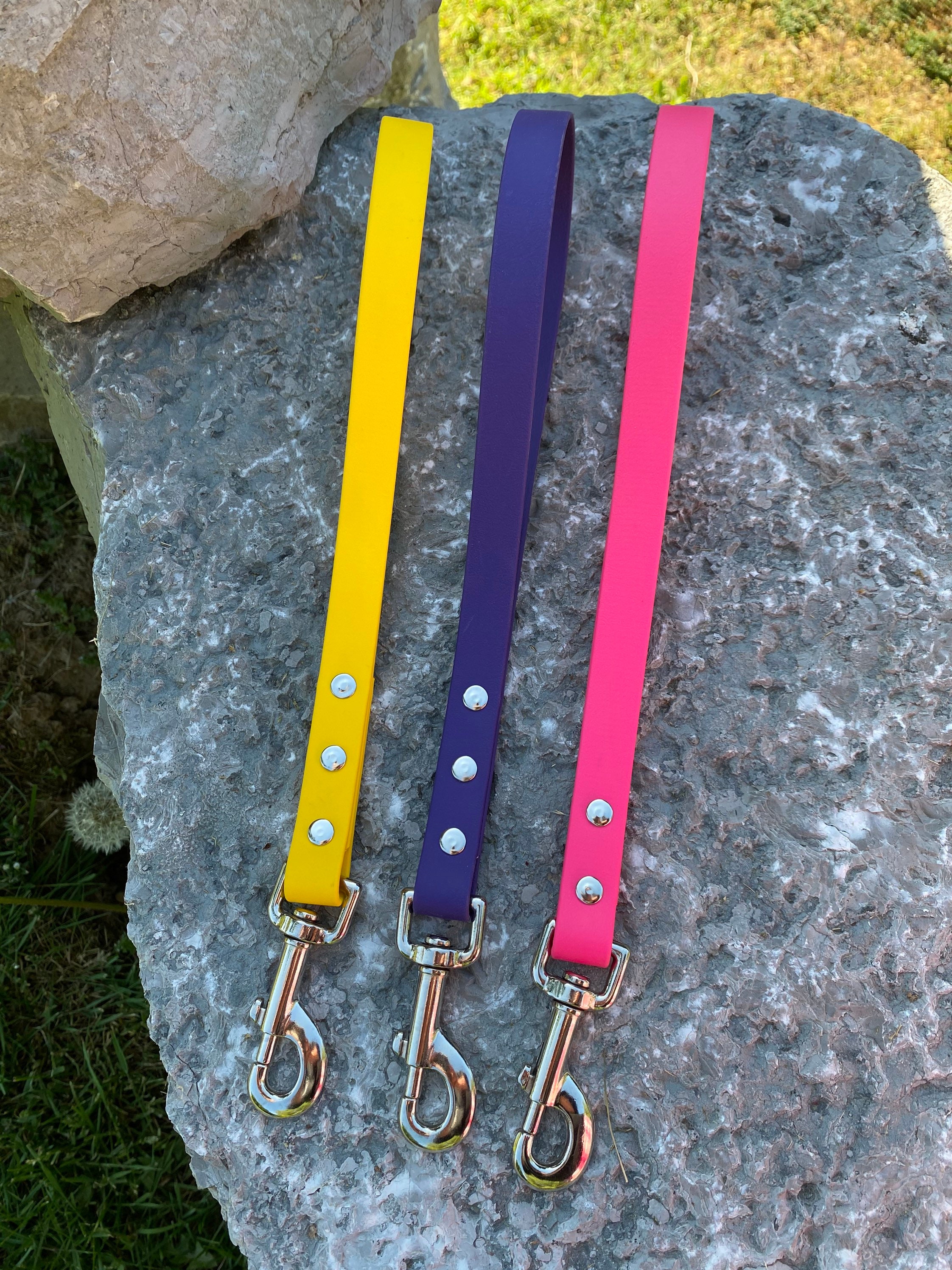 Biothane Dog Leash Traffic Leash 12 Etsy