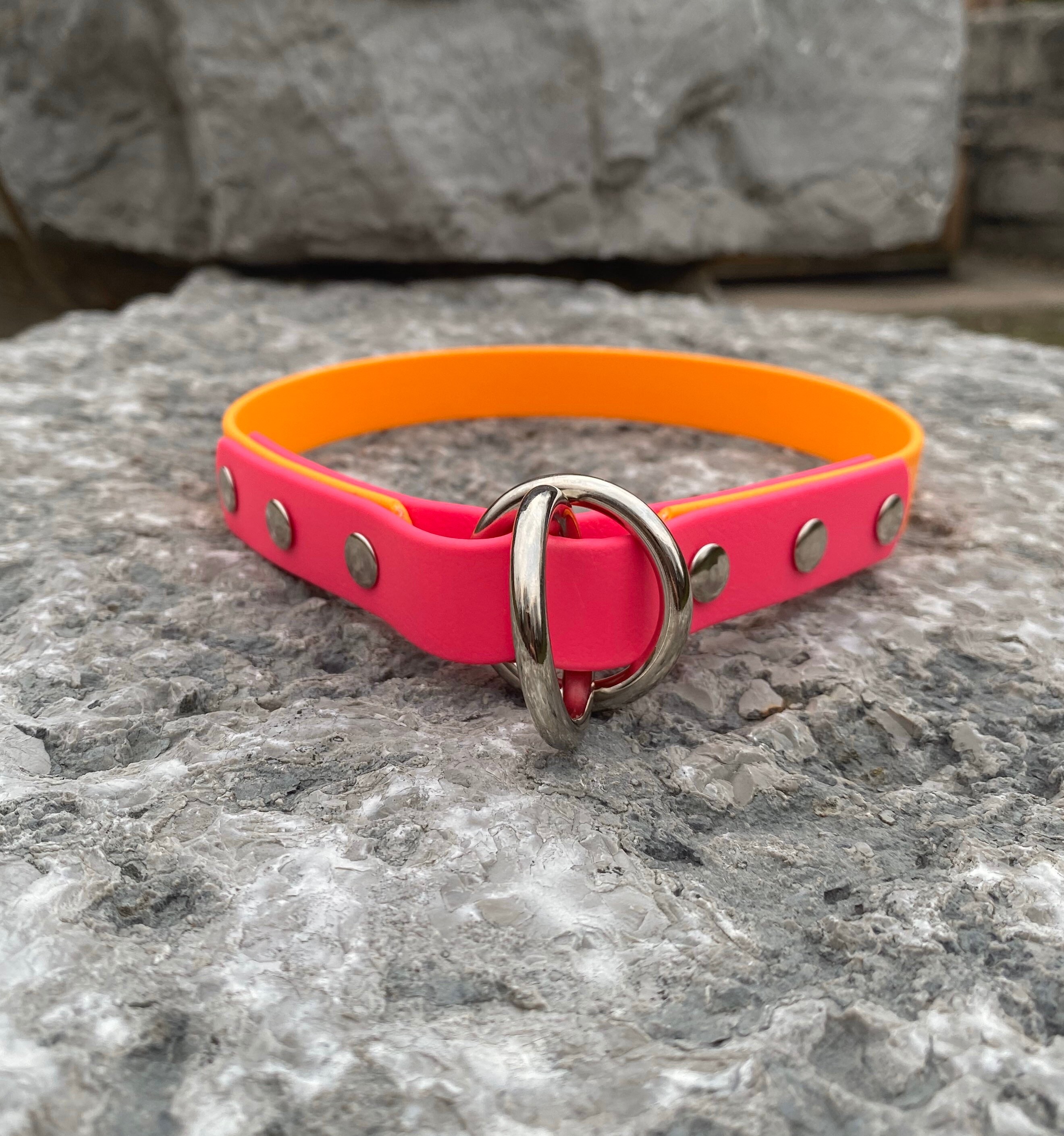 Waterproof Dog Collar Slip Collar Ready To Ship Etsy