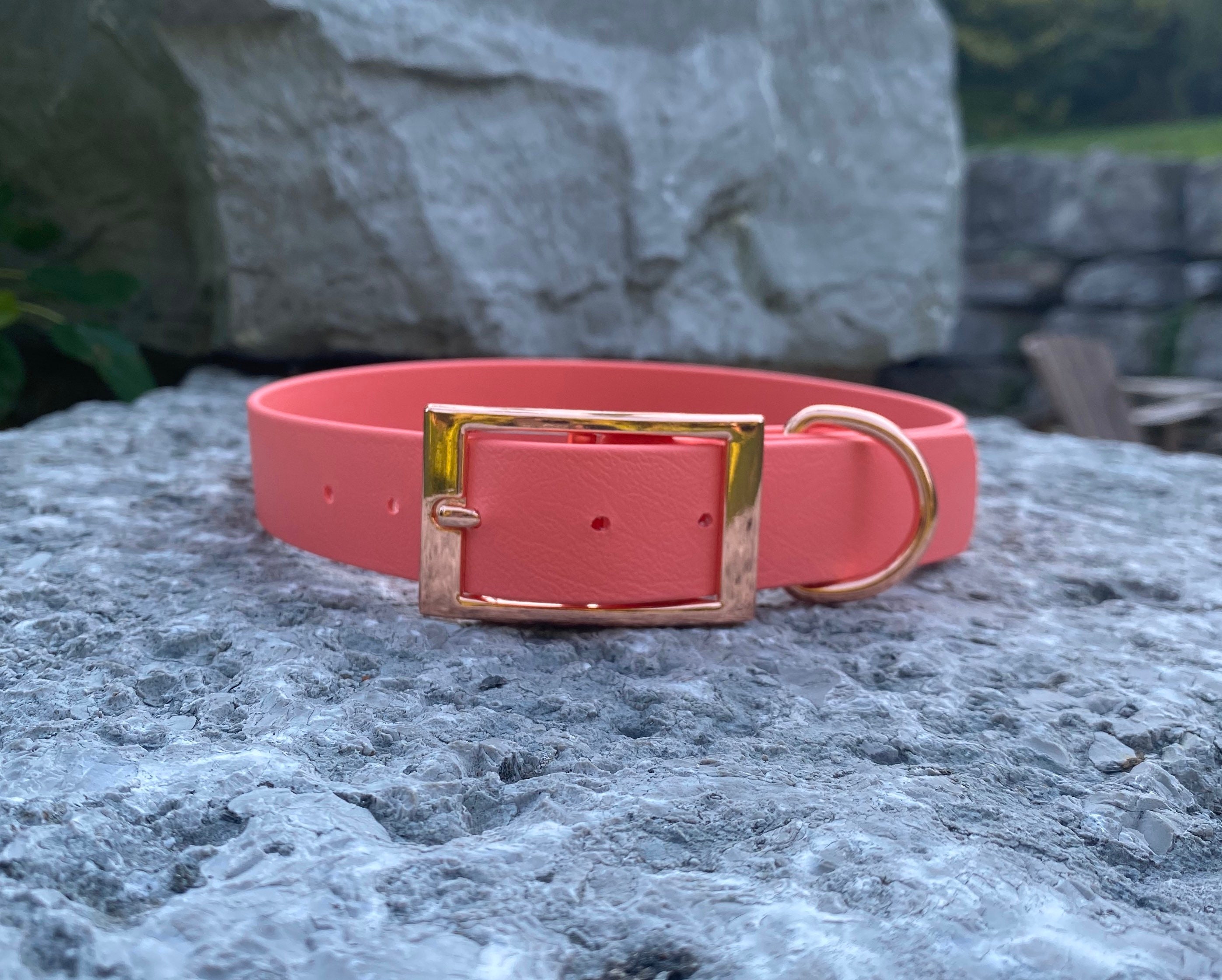 Waterproof Biothane Dog Collar 1 inch Width Traditional Buckle Etsy