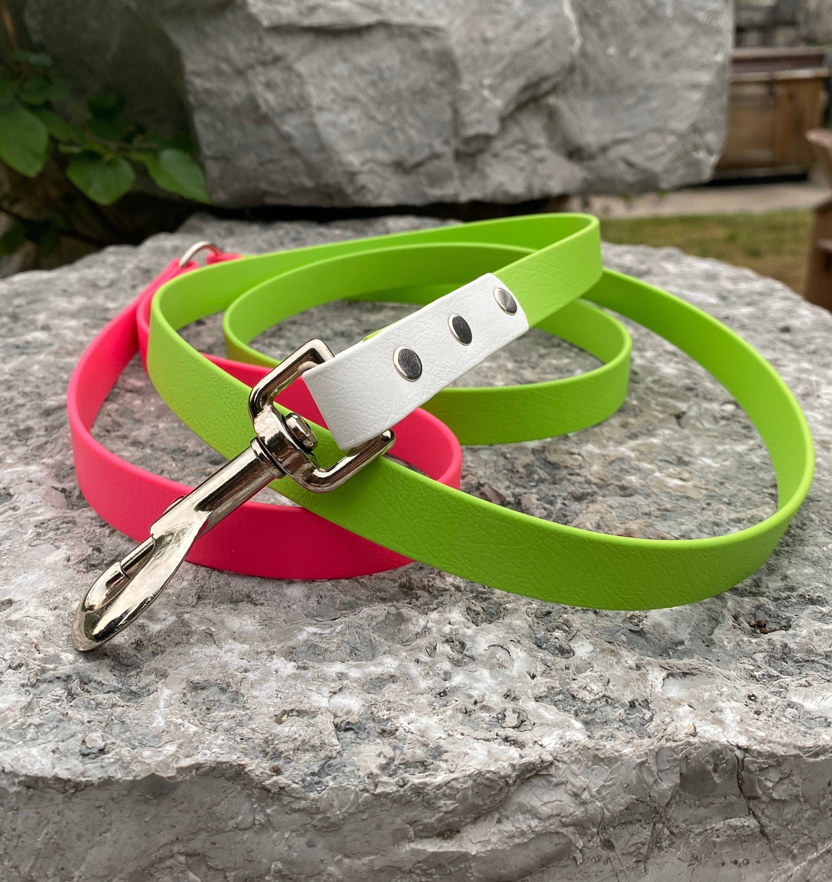 Biothane Dog Leash Two Tone Waterproof Dog Leash Etsy
