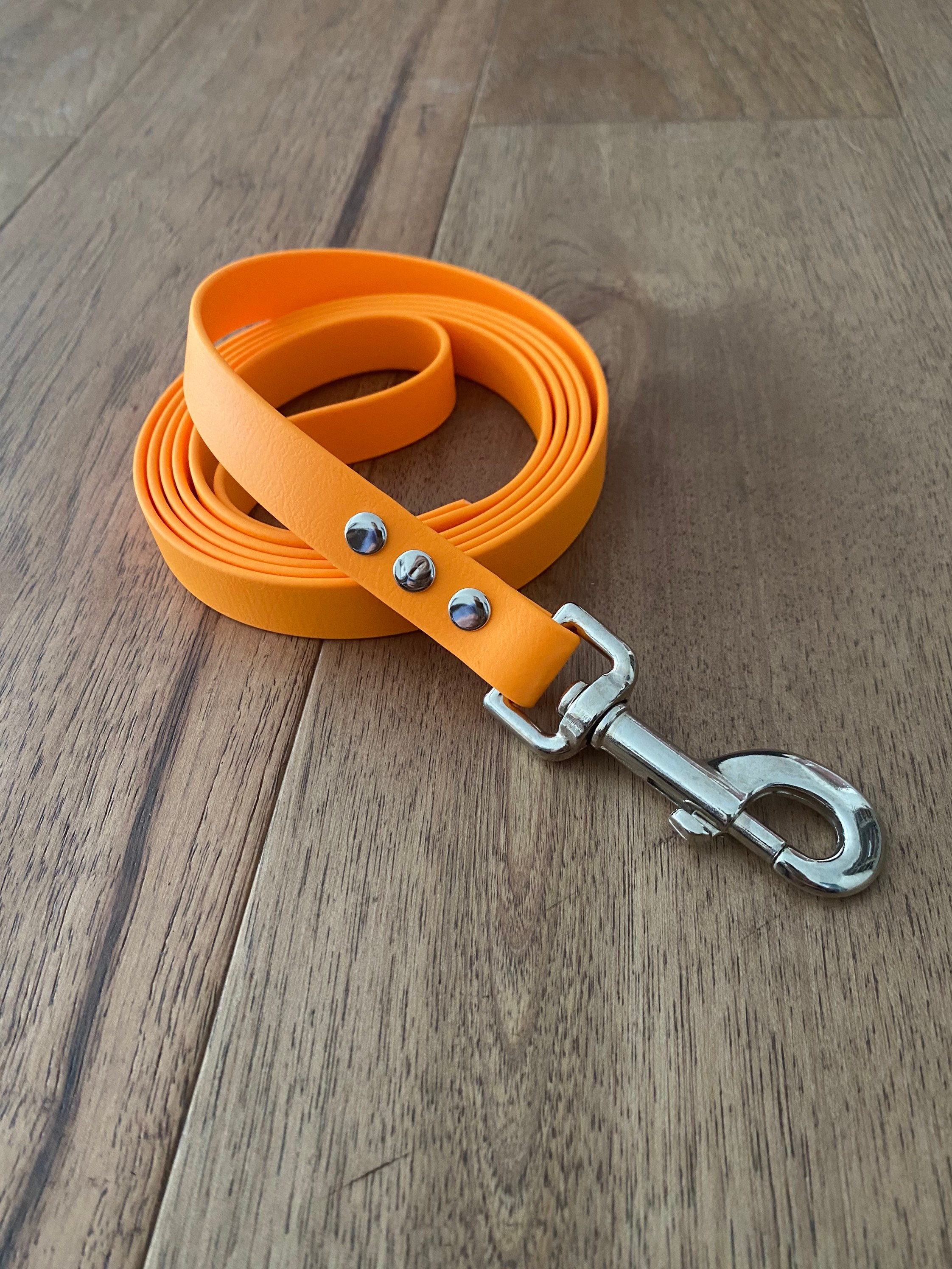 Biothane Dog Leash Etsy