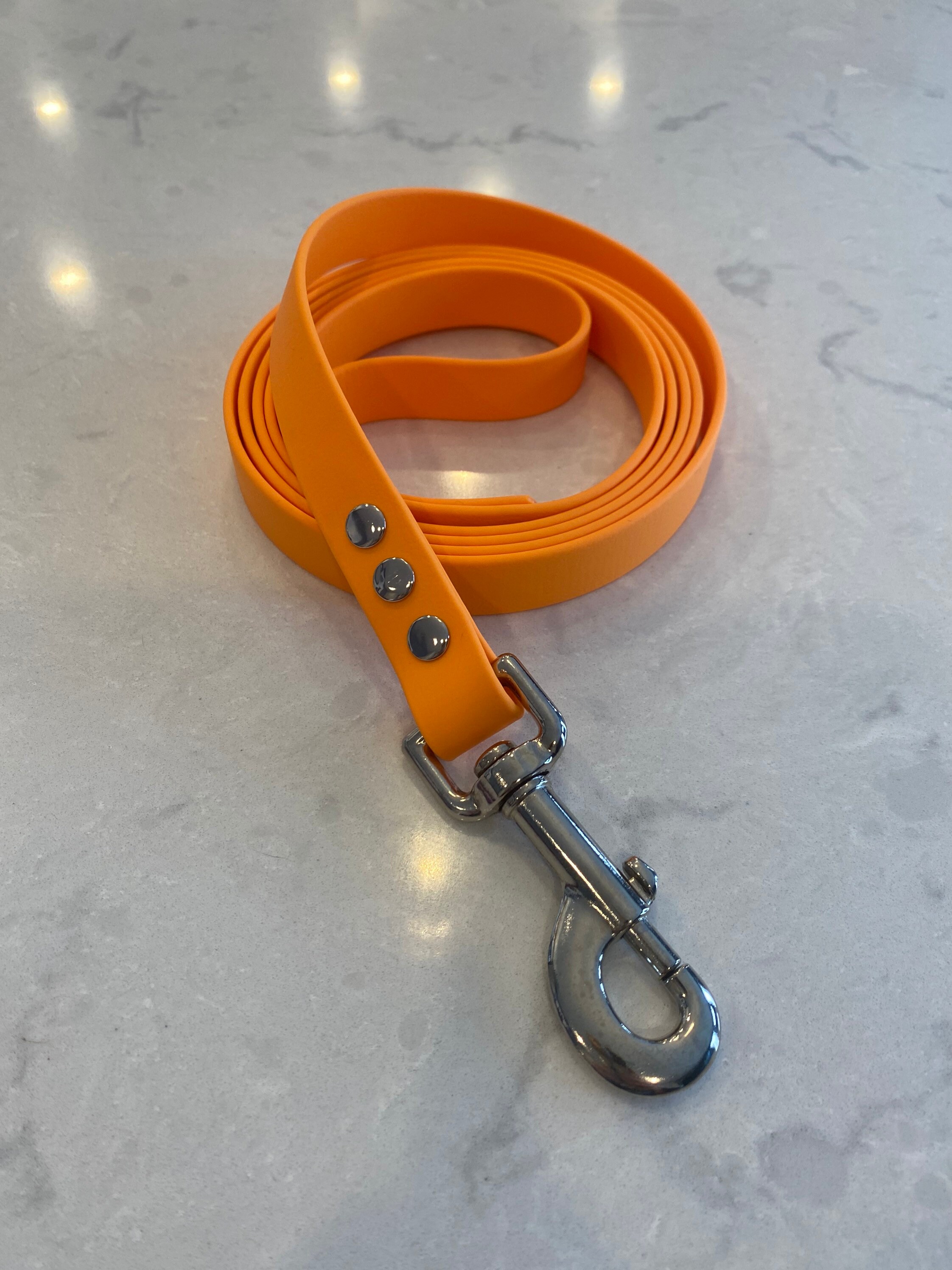 Biothane Dog Leash Etsy