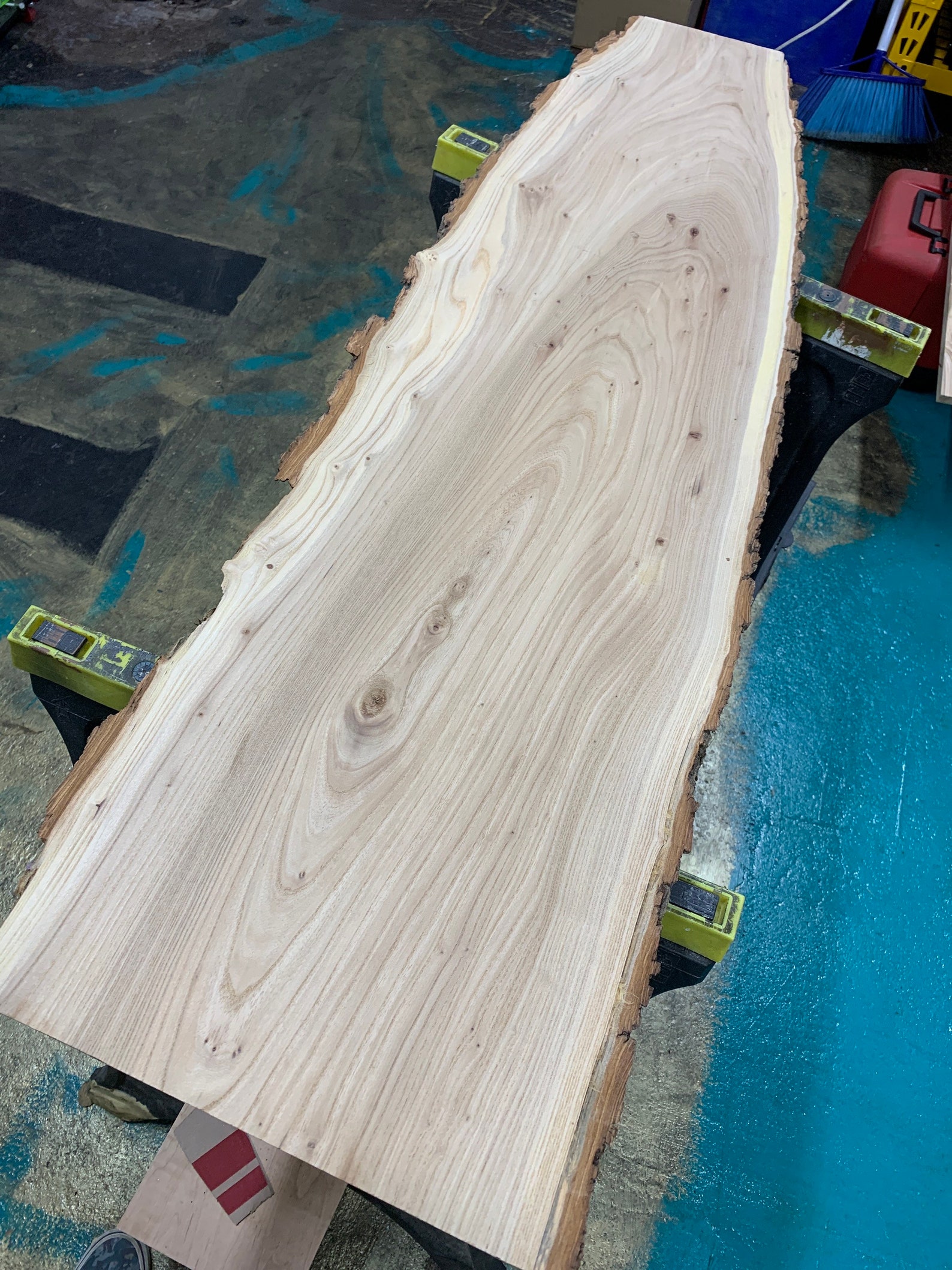 Live Edge American Elm Slab Wood 13/8x815x49 Etsy