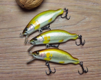 Rattling Skinny Long Sinking Crankbait Fishing Lure Set 5pcs Fishing Lure  Set Bass Fishing Lure Set Gifts for Him Gifts for Dad -  Canada