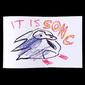 IT IS SONIC comic by Natty Peterkin – badly drawn, Sanic, gotta go fast, Sonic the Hedgehog