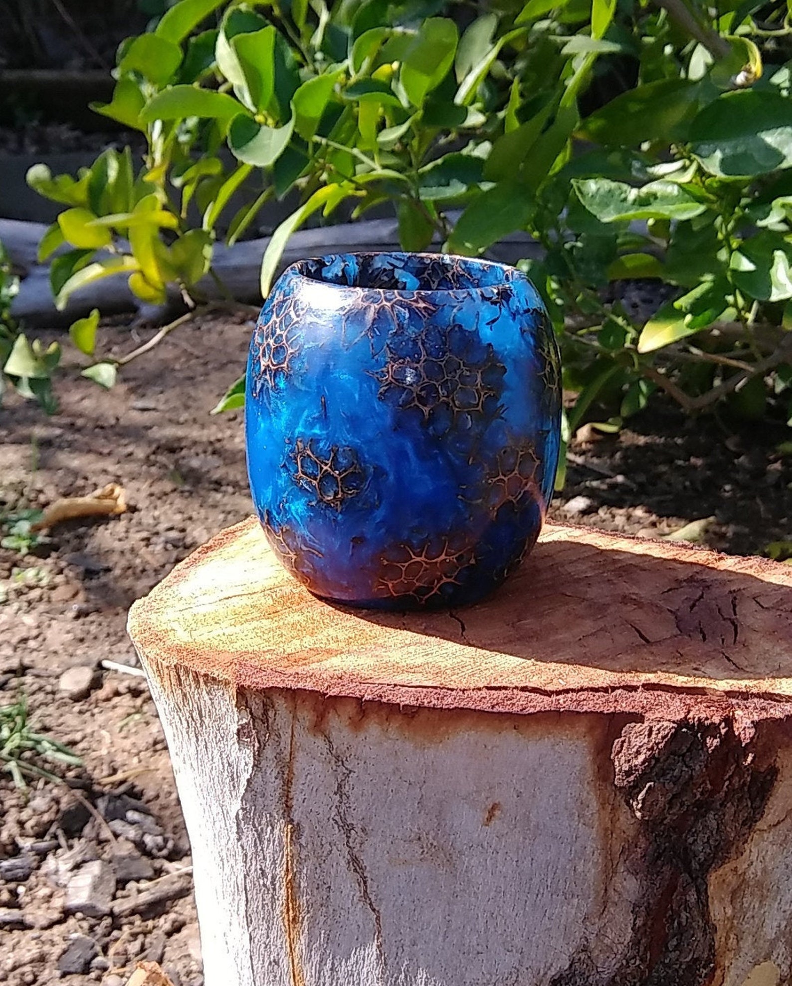 Wood and Liquid Amber Tree Pods Ocean Blue Resin Minibowl Etsy