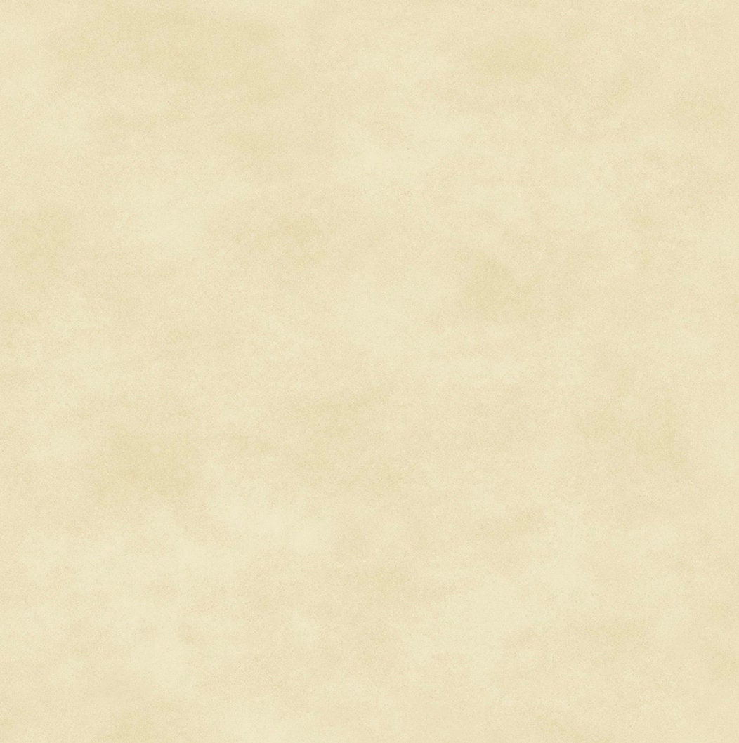 Light Tan Tonal Quilters Cotton Fabric Light Tan Blender Etsy