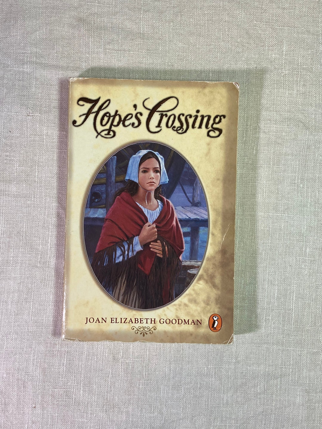 Hope’s Crossing by Joan Elizabeth Goodman Historical Fiction Children’s ...