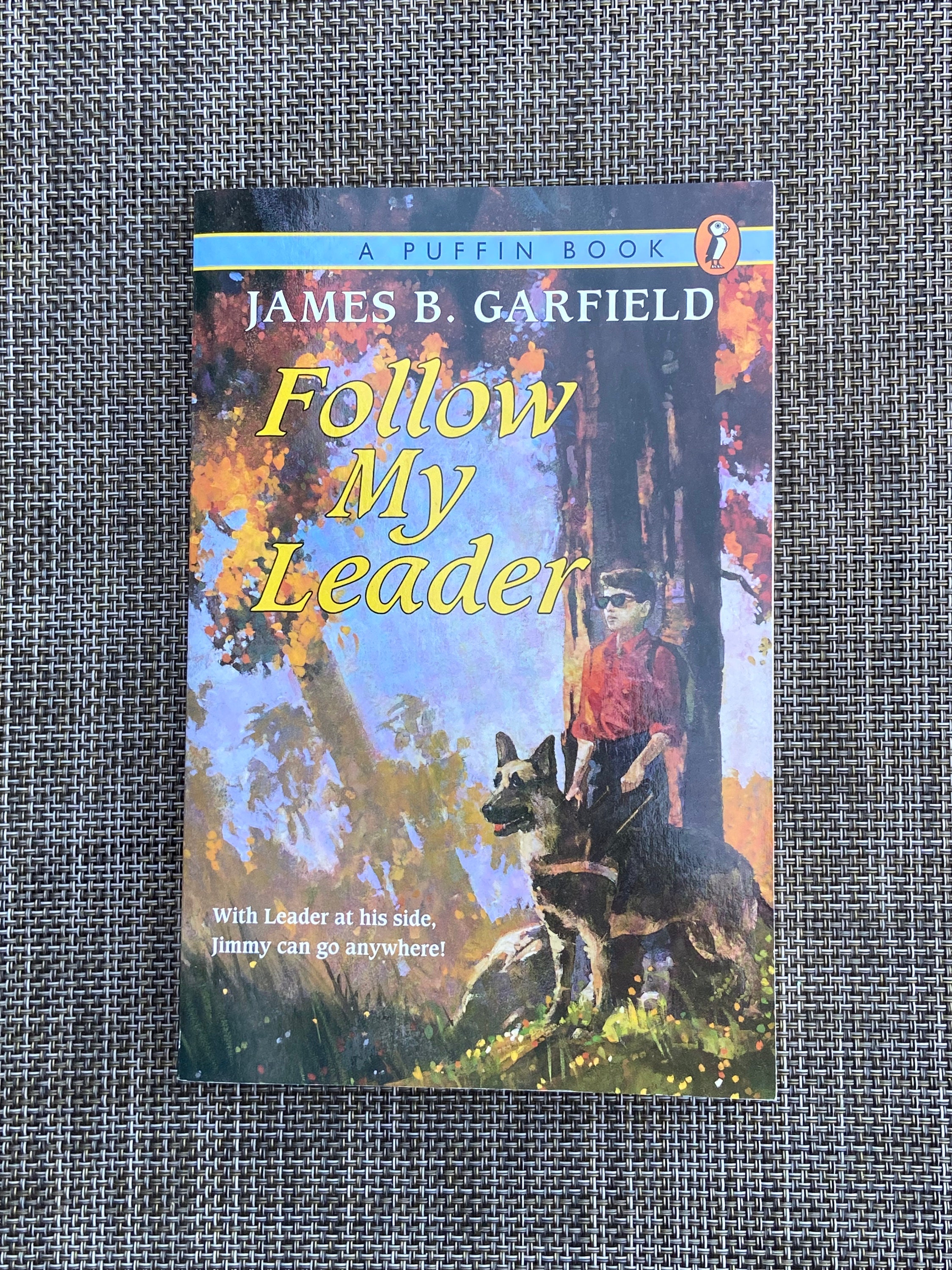 Follow My Leader James B Garfield Children’s Chapter Book Blind Seeing Eye  Dog Braille