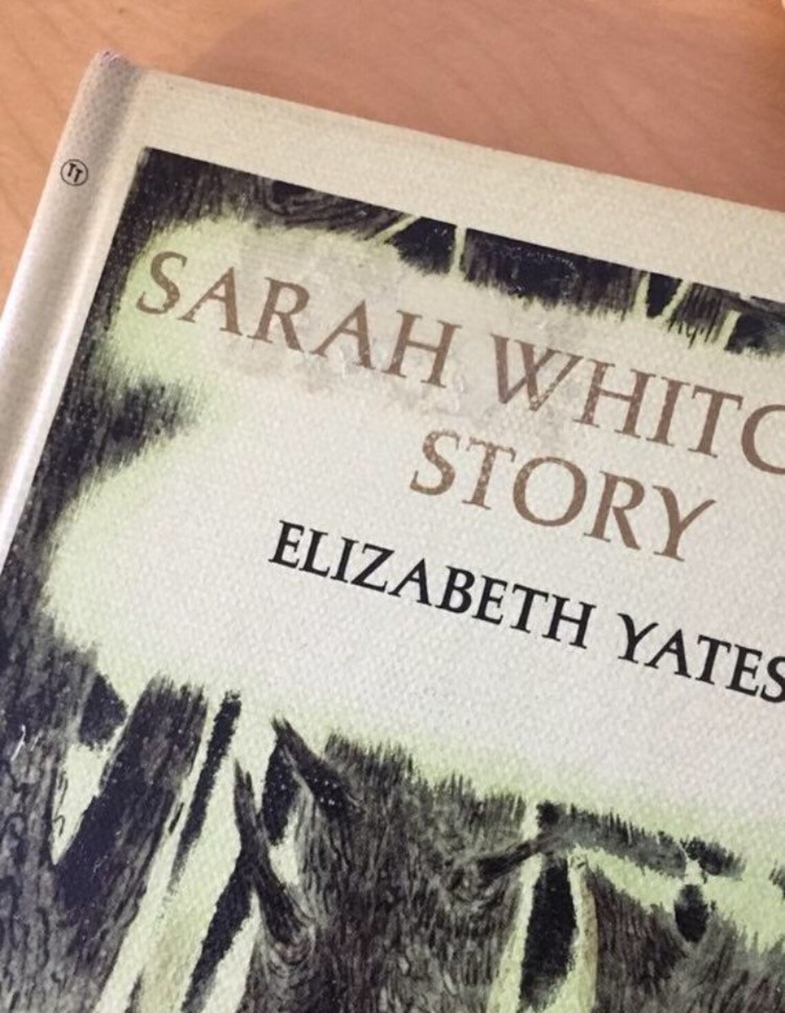 1971 Sarah Whitchers Story by Elizabeth Yates First Edition Etsy