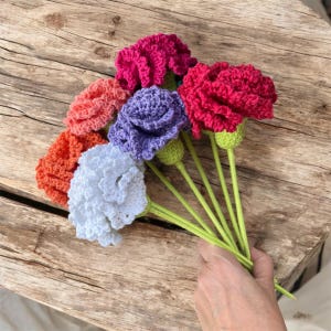 Crochet flowers, bouquet of eternal carnations, birthday gift, Mother&#39;s Day, handmade floral arrangement, offer flowers