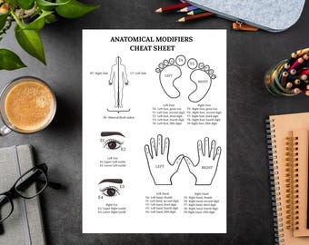 Cheatsheet Anatomische modificaties | Medische codering pdf | Direct downloaden | Referentie facturering en codering voor studenten en professionals