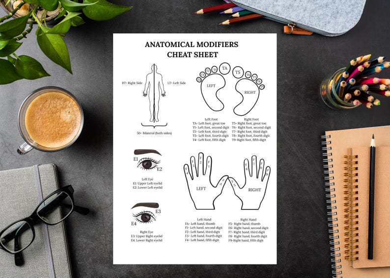 Anatomical Modifiers Cheat Sheet | Medical Coding PDF | Instant ...