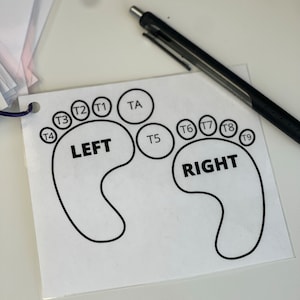 Podiatry Toe Modifier L Medical Billing L Podiatry L Modifiers L Cheat ...