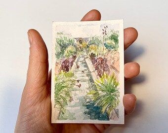 Watercolor Art ACEO Numbat Archival Print
