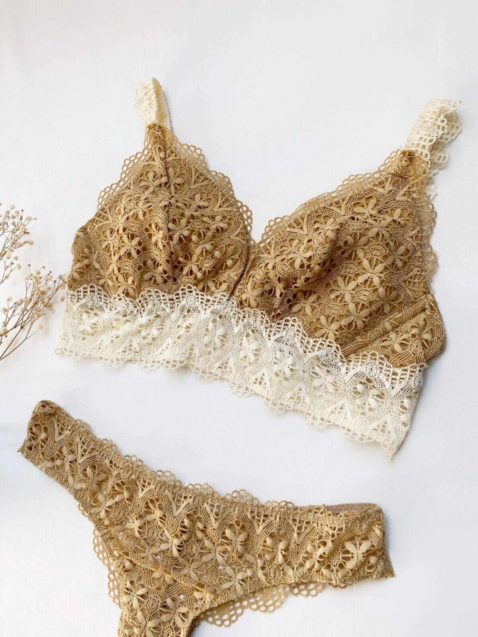 Lingerie Set INTIMISSIMI Bra EU75C USA/UK 34C Briefs S Brown Etsy