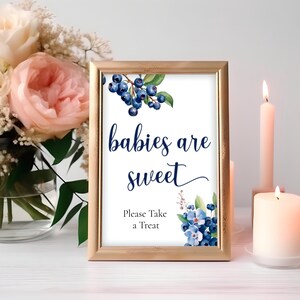 May include: A gold framed sign with a watercolor illustration of blueberries and the text "babies are sweet" and "Please Take a Treat".
