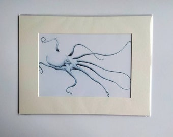 Biro Octopus- print of my original biro drawing