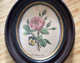 Cuadro ovalado floral vintage para pared: rosa rosa en marco marrón.