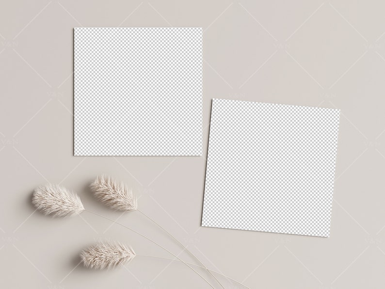May include: Two blank white cards on a light beige background with three dried fluffy beige pampas grass stems.